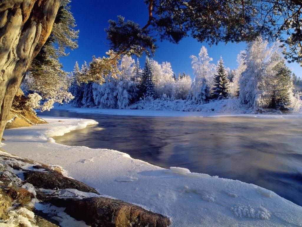 winter beauty wonderland Snow-covered landscape with a calm river and frosty trees under a blue sky.